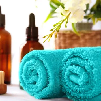 Πετσέτα Χεριών 30 Χ 30 450γρ βαμβακερή 100% 002026011X13