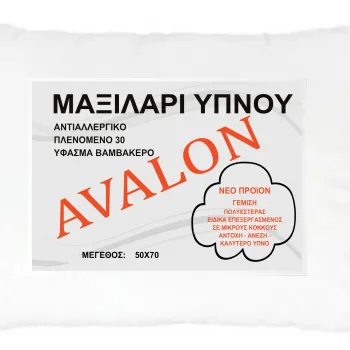 Μαξιλάρι ύπνου μπιλάκι 50 X 70 850γρ 003112011