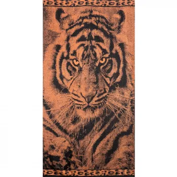 Πετσέτα Θαλάσσης Βαμβακερή 100% Αιγύπτου 90x170 013008011Σ80